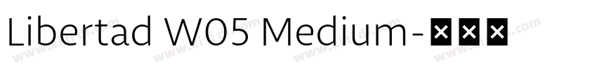 Libertad W05 Medium字体转换